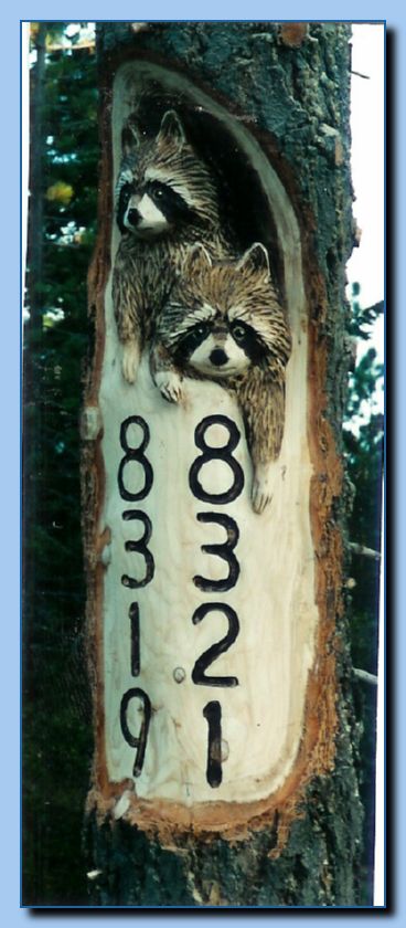 1-56 sign raccoon